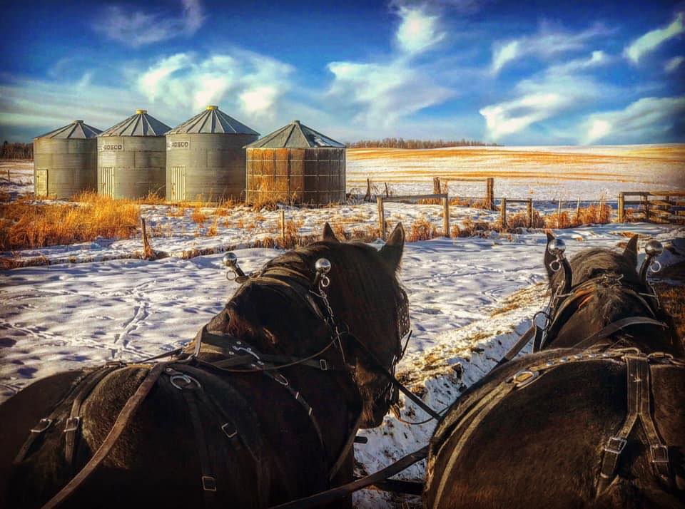 Peak Heritage Consulting Ltd Empowering Families To Be Stewards Of